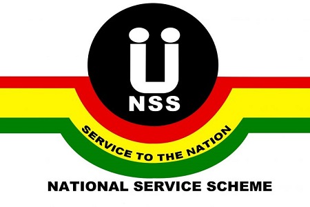 NSS LOGO