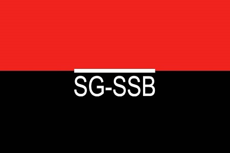 SG-SSB-Limited-Bank-logo